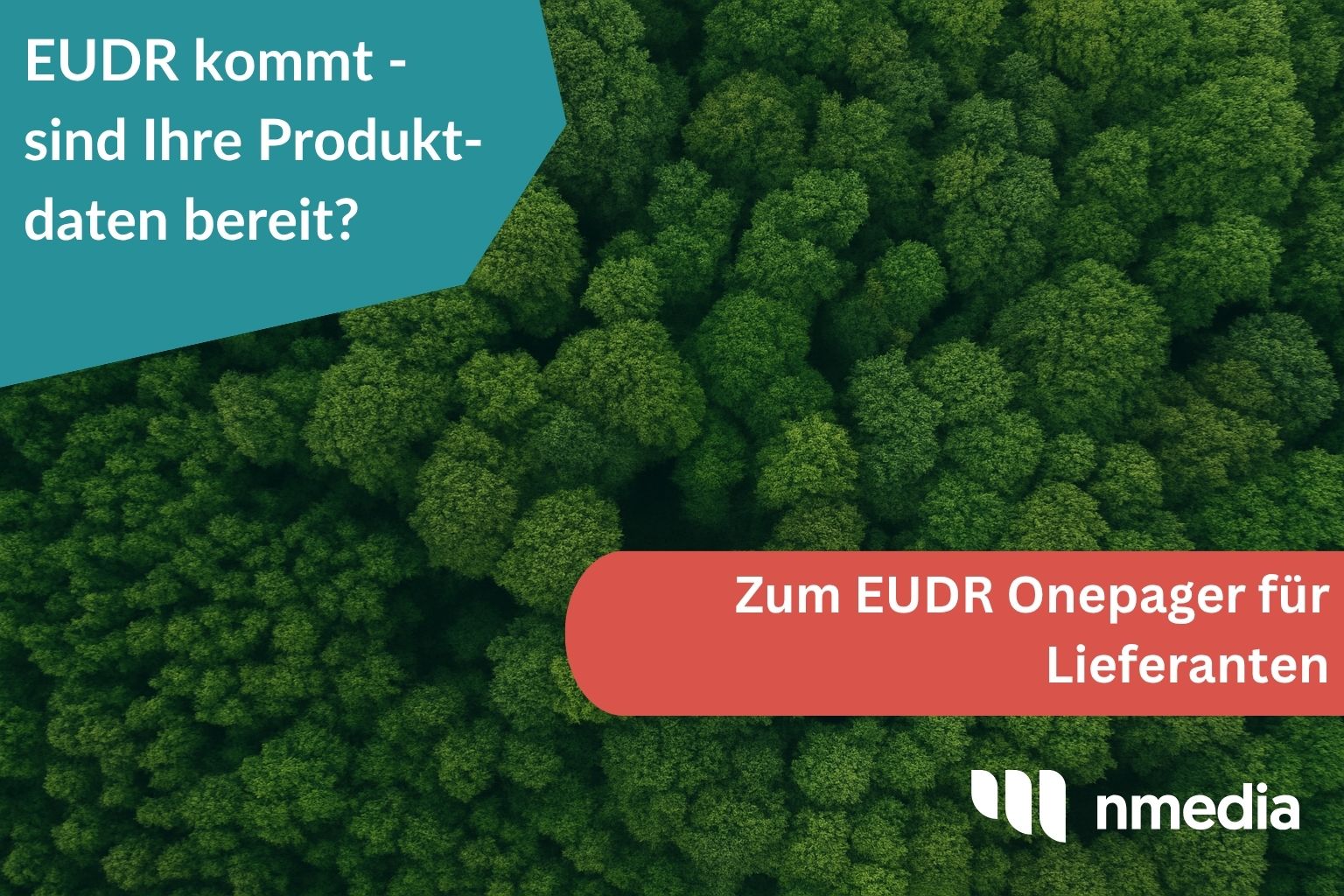 EUDR kommt – sind Ihre Produktdaten bereit