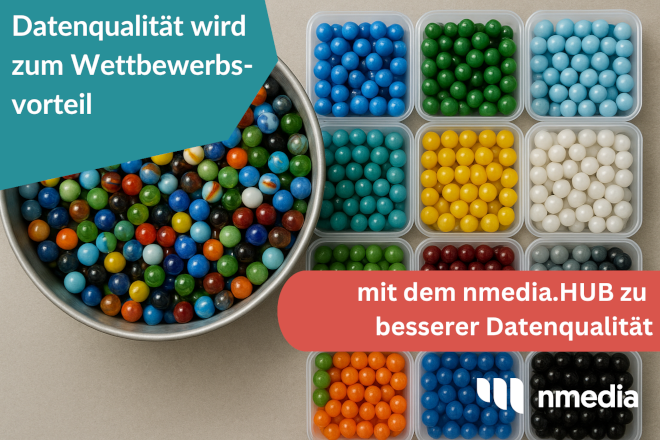 Teaser Datenqualität